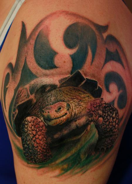Tattoos - Galapagos Tortoise - 111610